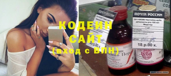 гашик Осинники